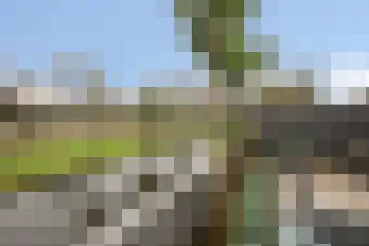 Anthon van der Horstlaan 28 Bunschoten-Spakenburg thumbnail 30
