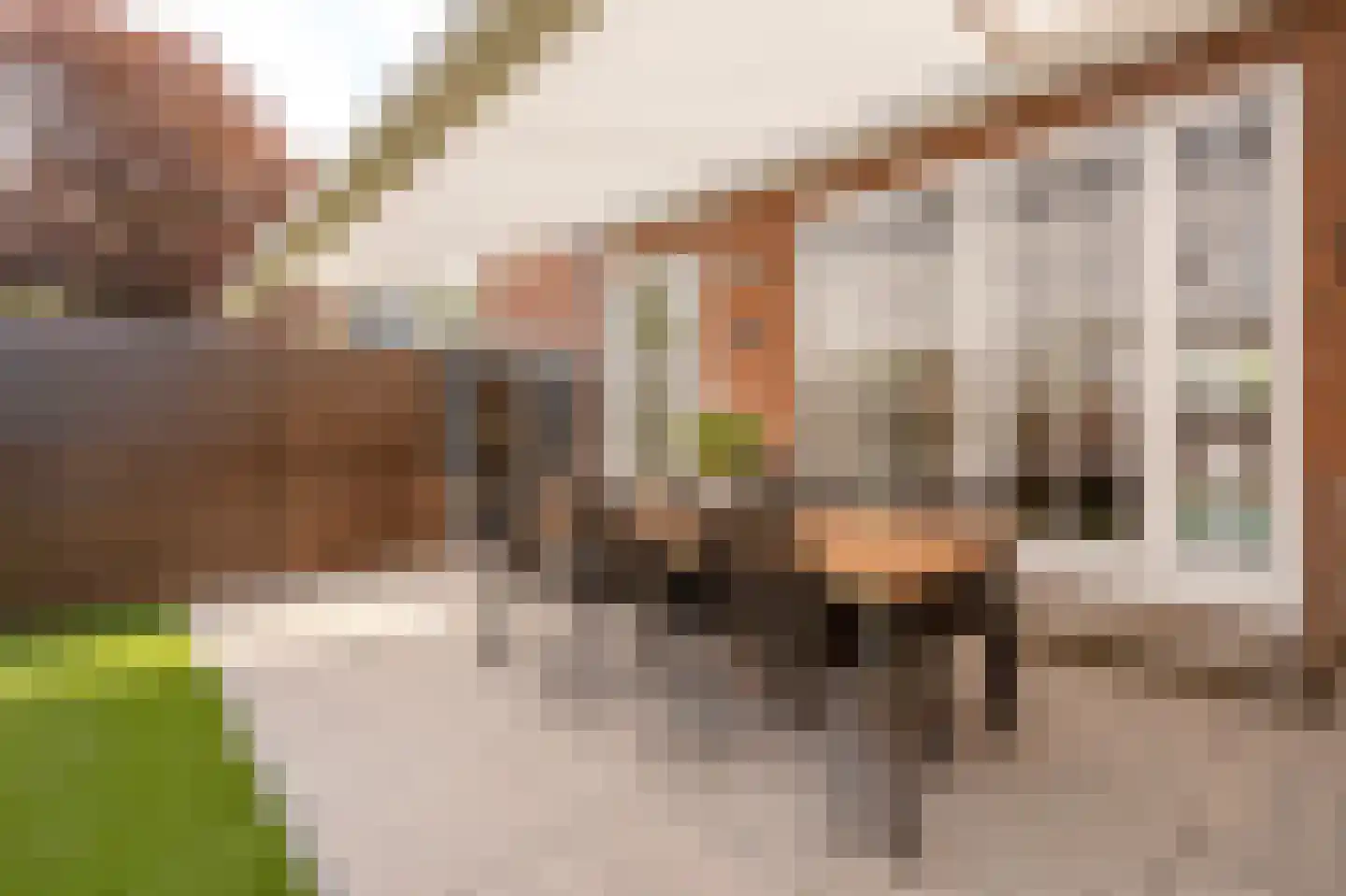 Anthonie Duyckplein 20 Wassenaar thumbnail 19