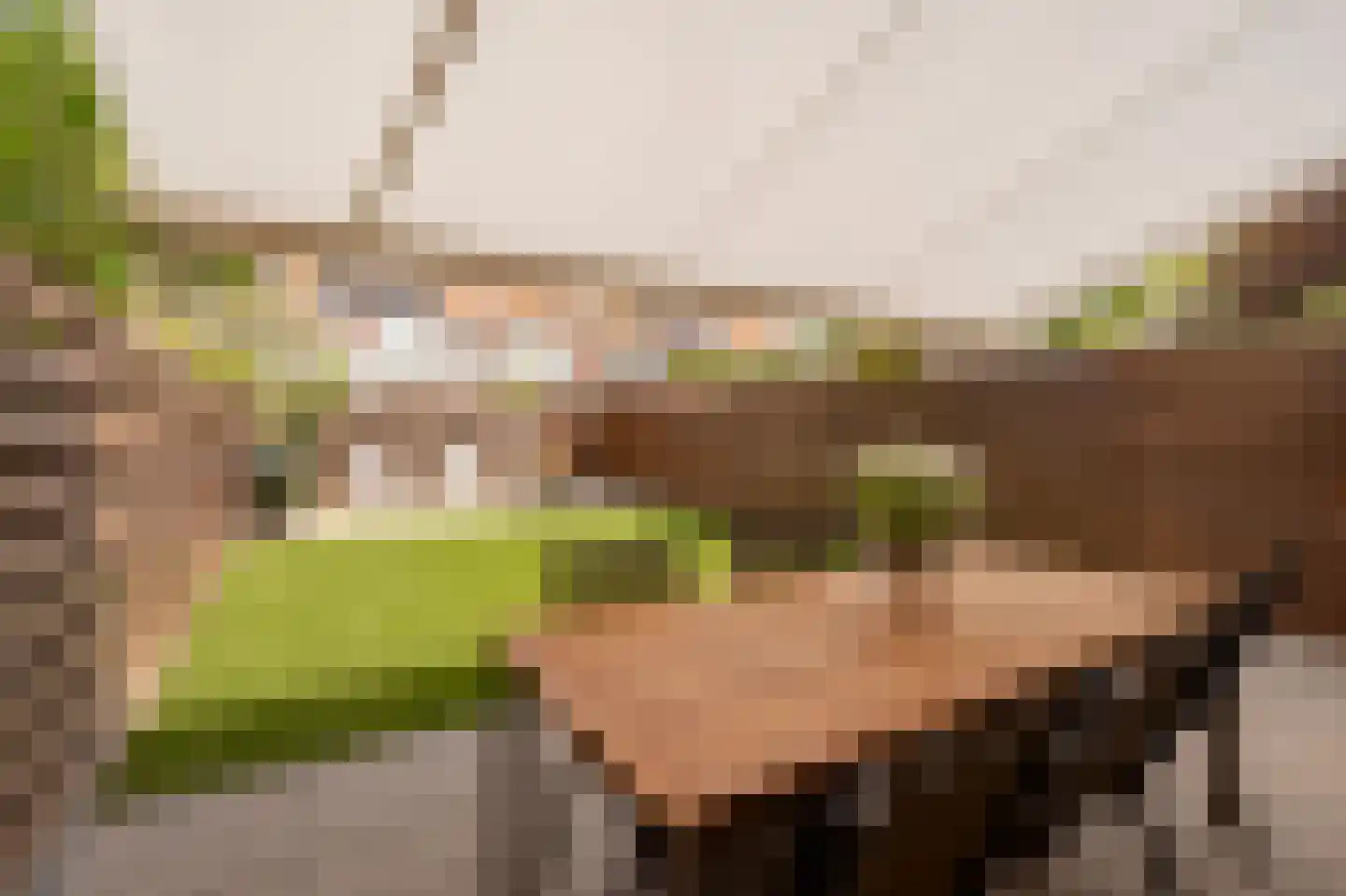 Anthonie Duyckplein 20 Wassenaar thumbnail 20