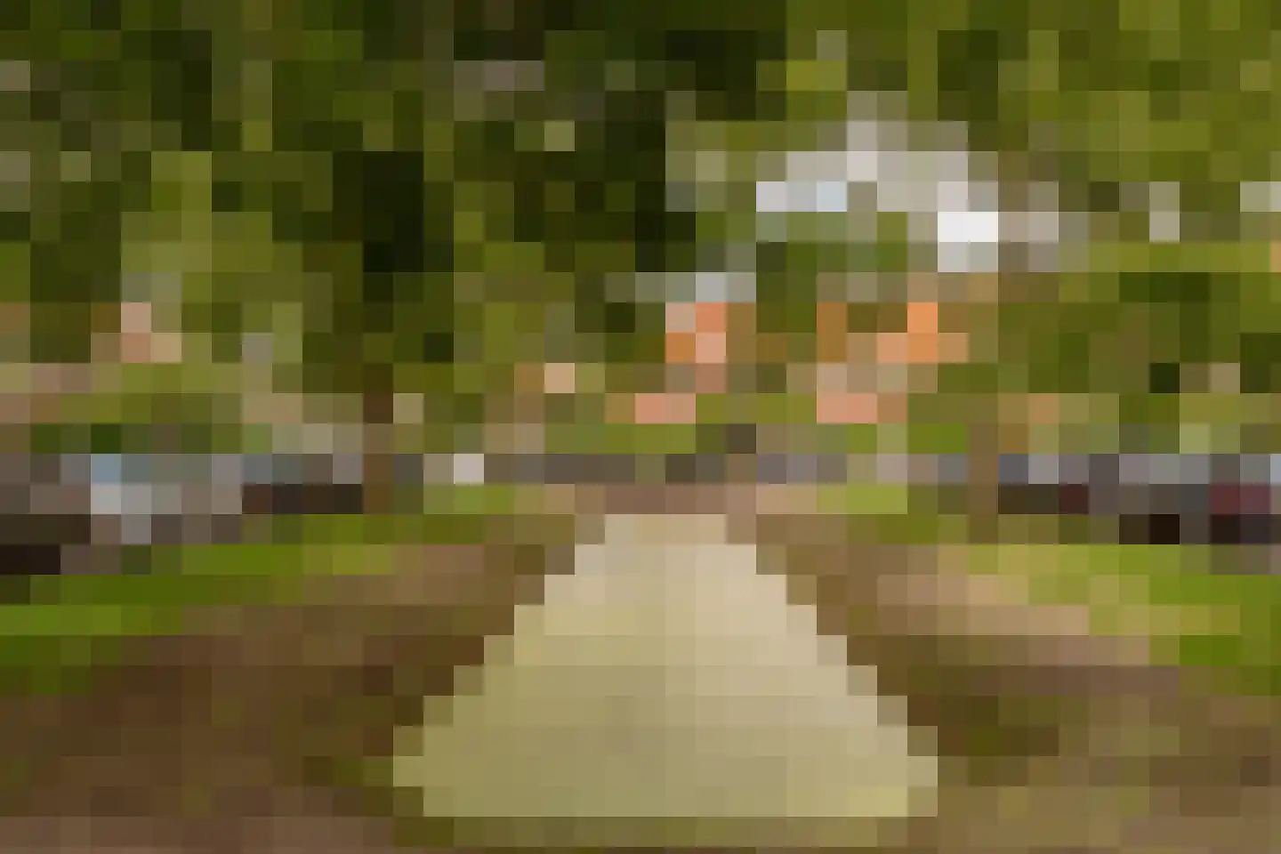 Anthonie Duyckplein 20 Wassenaar thumbnail 51
