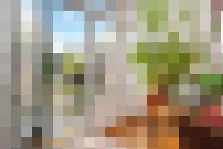 Anthonie Duyckplein 3 Wassenaar thumbnail 23