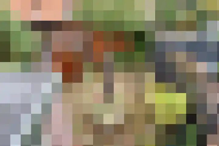 Anthonie Duyckplein 3 Wassenaar thumbnail 31
