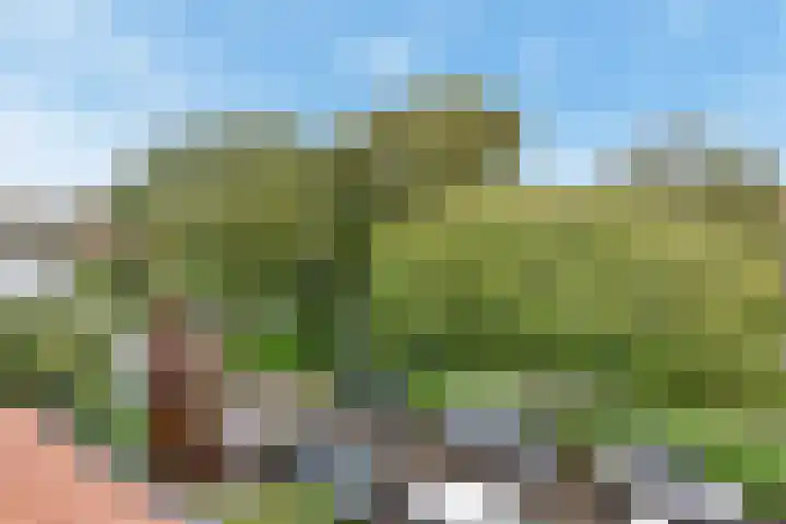 Anthonie Duyckplein 3 Wassenaar thumbnail 48