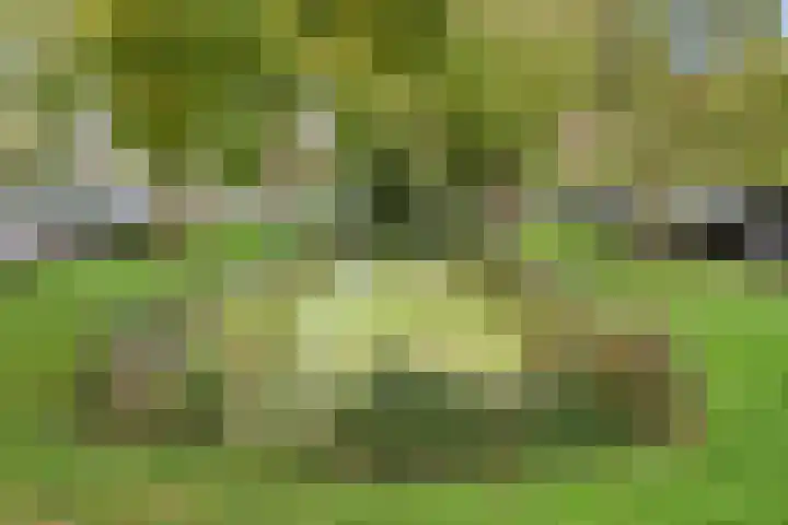 Anthonie Duyckplein 3 Wassenaar thumbnail 49