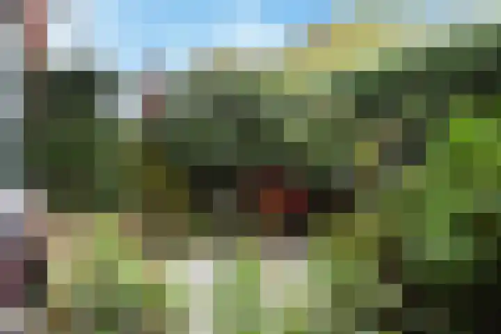Anthonie Duyckplein 3 Wassenaar thumbnail 7