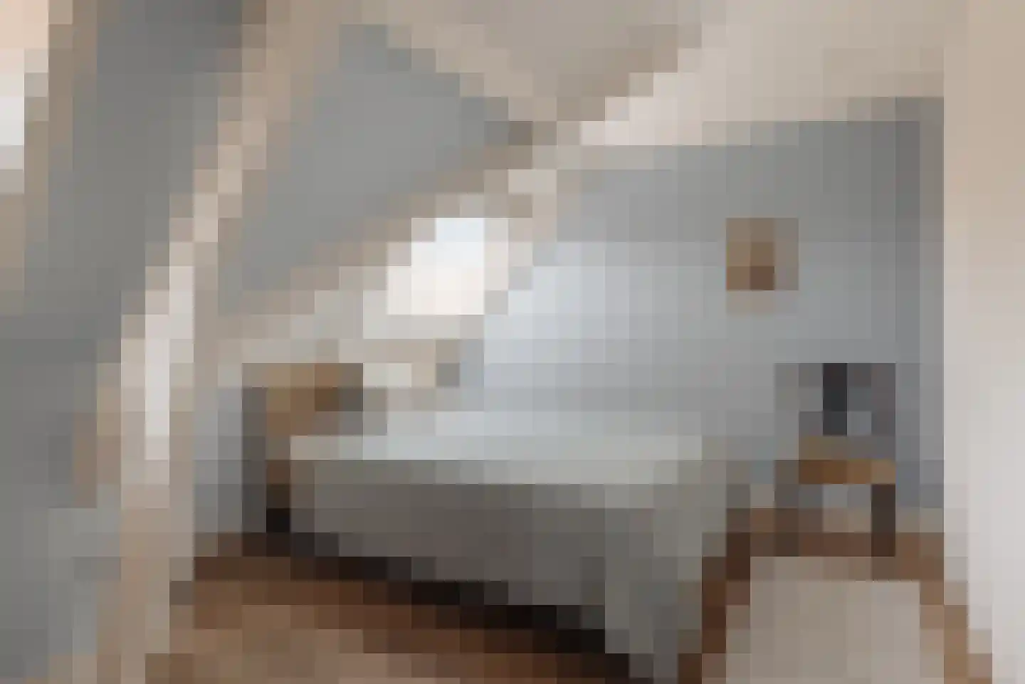 Anthonie Duyckplein 4 Wassenaar thumbnail 37