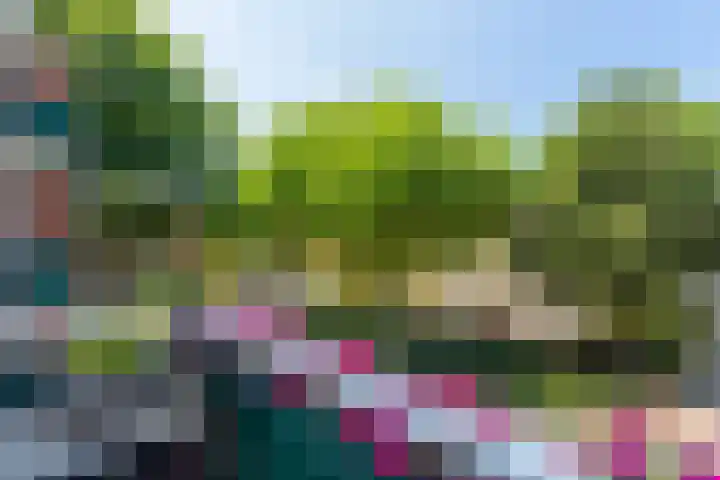 Anthonie Fokkerstraat 16 Bussum thumbnail 18