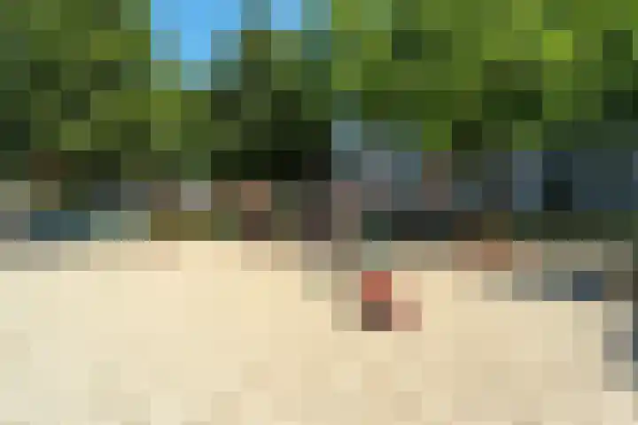 Anthonie Fokkerstraat 16 Bussum thumbnail 36