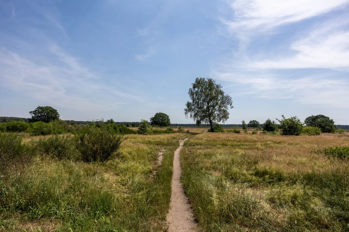 Anthonie Fokkerstraat 52 Bussum thumbnail 28