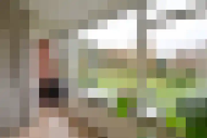 Anthonie Fokkerstraat 76 Bussum thumbnail 4