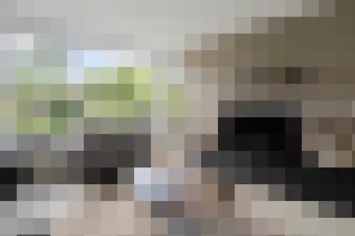 Anthonie Fokkerstraat 80 Bussum thumbnail 10