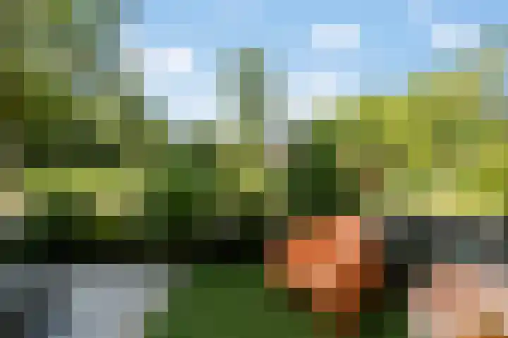 Anthonie Fokkerstraat 80 Bussum thumbnail 22