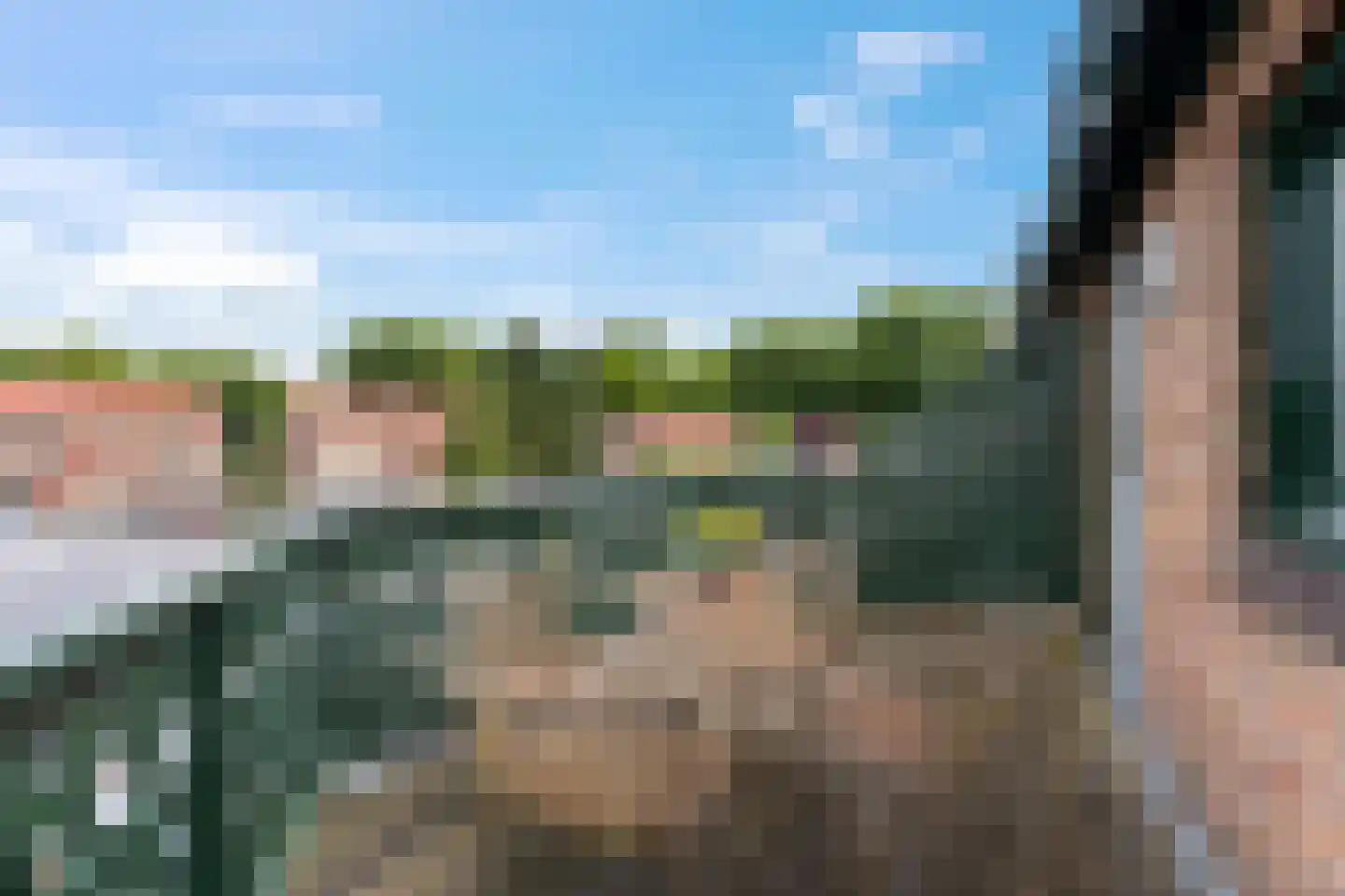 Anthonie Kroonweg 19 Heelsum thumbnail 22