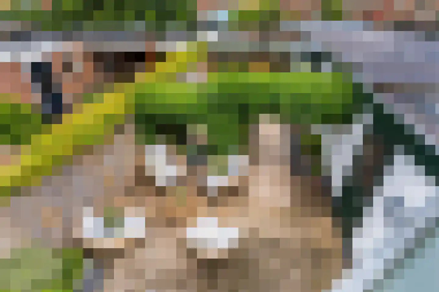 Anthonie Kroonweg 19 Heelsum thumbnail 23