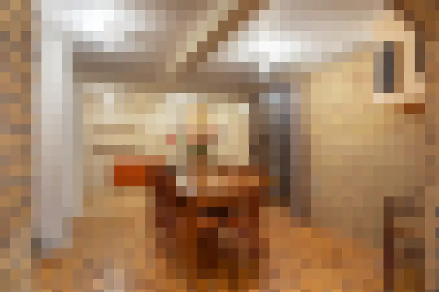 Anthonie Kroonweg 19 Heelsum thumbnail 28