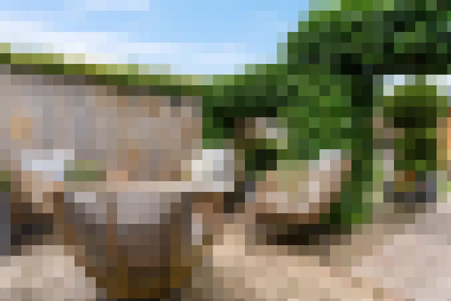Anthonie Kroonweg 19 Heelsum thumbnail 38