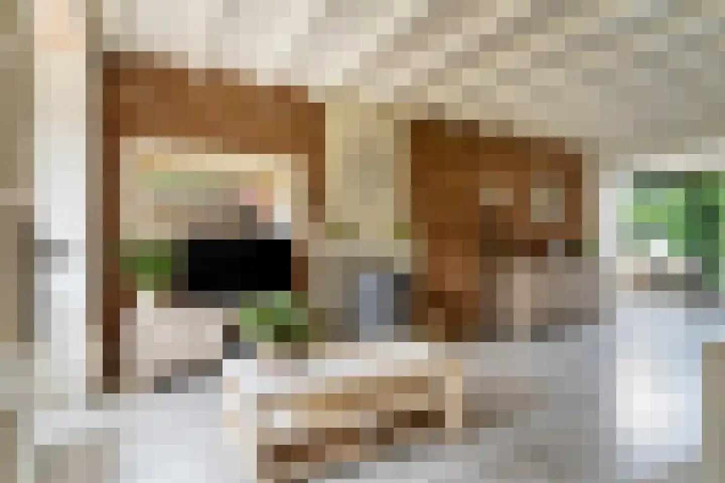 Anthonie Kroonweg 19 Heelsum thumbnail 5