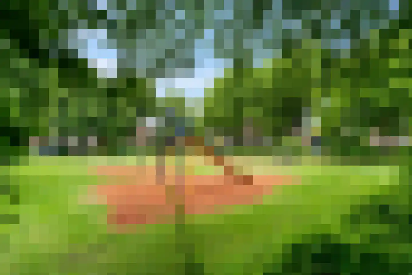 Anthonie Kroonweg 19 Heelsum thumbnail 51