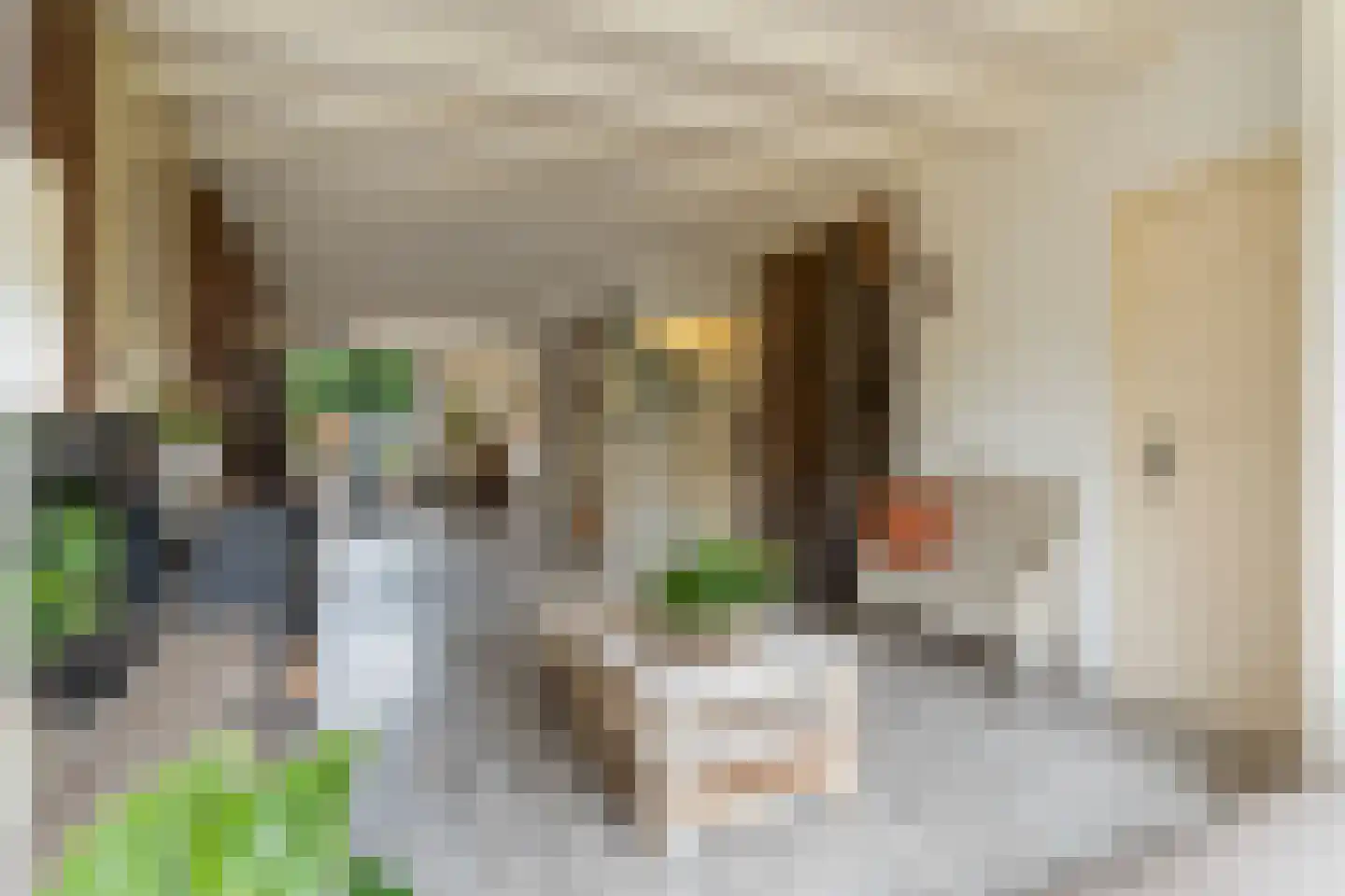 Anthonie Kroonweg 19 Heelsum thumbnail 6