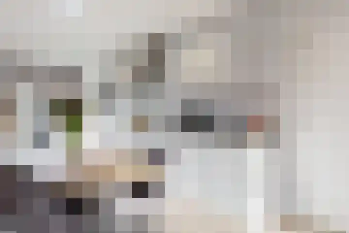 Anthonie Kroonweg 5 Heelsum thumbnail 10