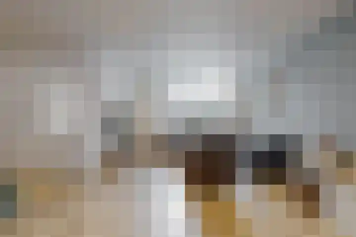 Anthonie Kroonweg 5 Heelsum thumbnail 4