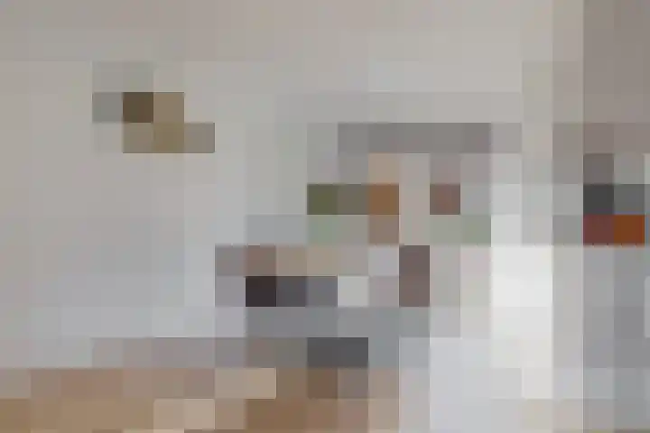 Anthonie Kroonweg 5 Heelsum thumbnail 8