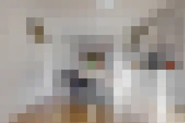 Anthonie Kroonweg 5 Heelsum thumbnail 9