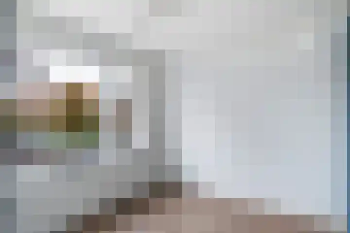 Anthonie van Dijckstraat 1 Woerden thumbnail 14