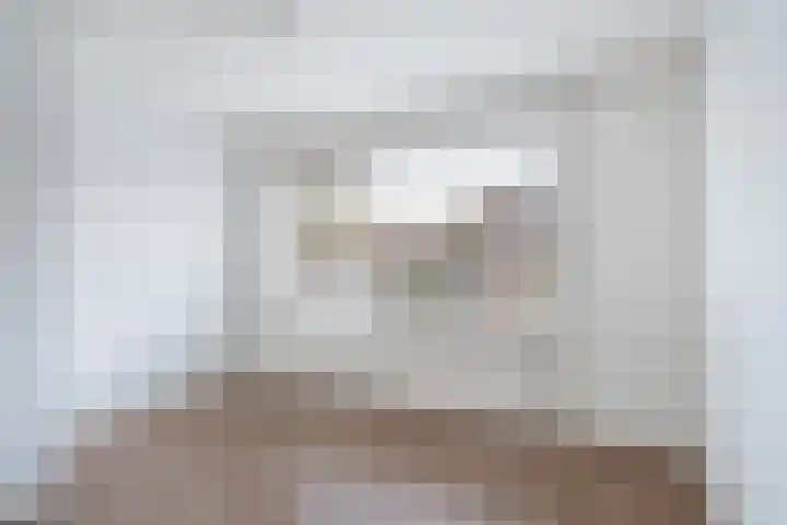 Anthonie van Dijckstraat 1 Woerden thumbnail 15