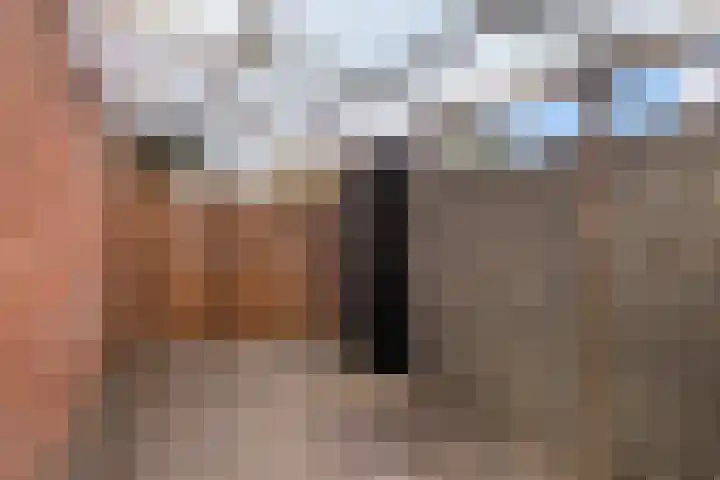 Anthonie van Dijckstraat 1 Woerden thumbnail 23