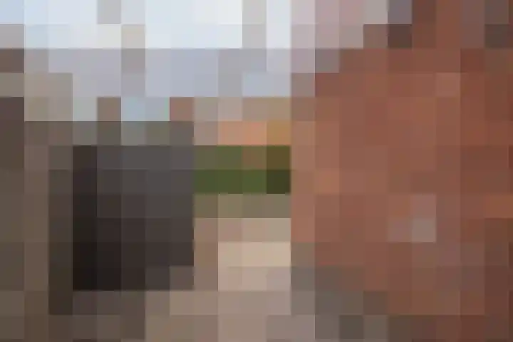 Anthonie van Dijckstraat 1 Woerden thumbnail 24