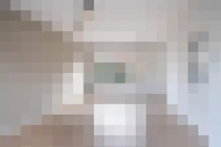 Anthonie van Dijckstraat 1 Woerden thumbnail 5