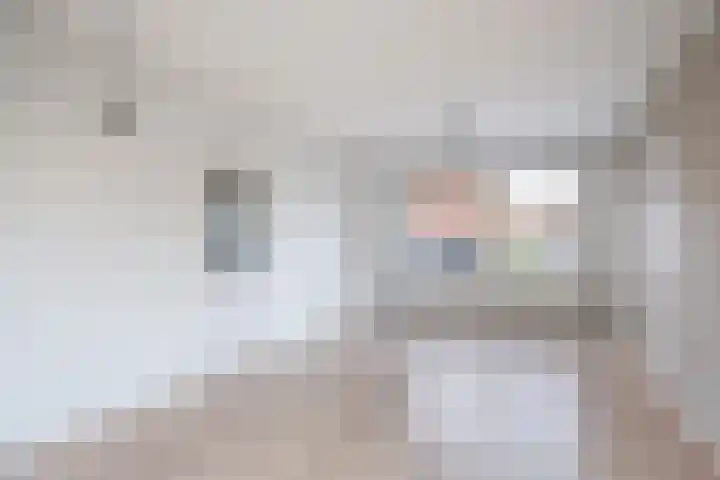 Anthonie van Dijckstraat 1 Woerden thumbnail 6