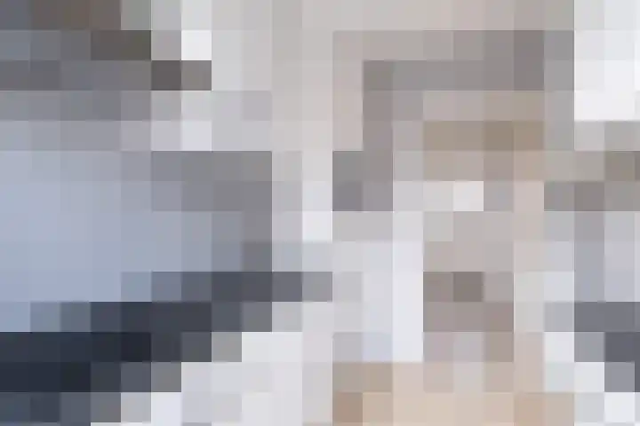 Anthonie van Dijckstraat 1 Woerden thumbnail 8