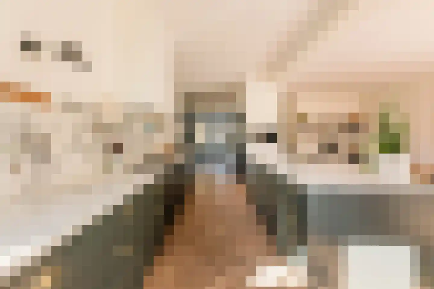 Anthonie van Dijckstraat 11 1 Amsterdam thumbnail 11