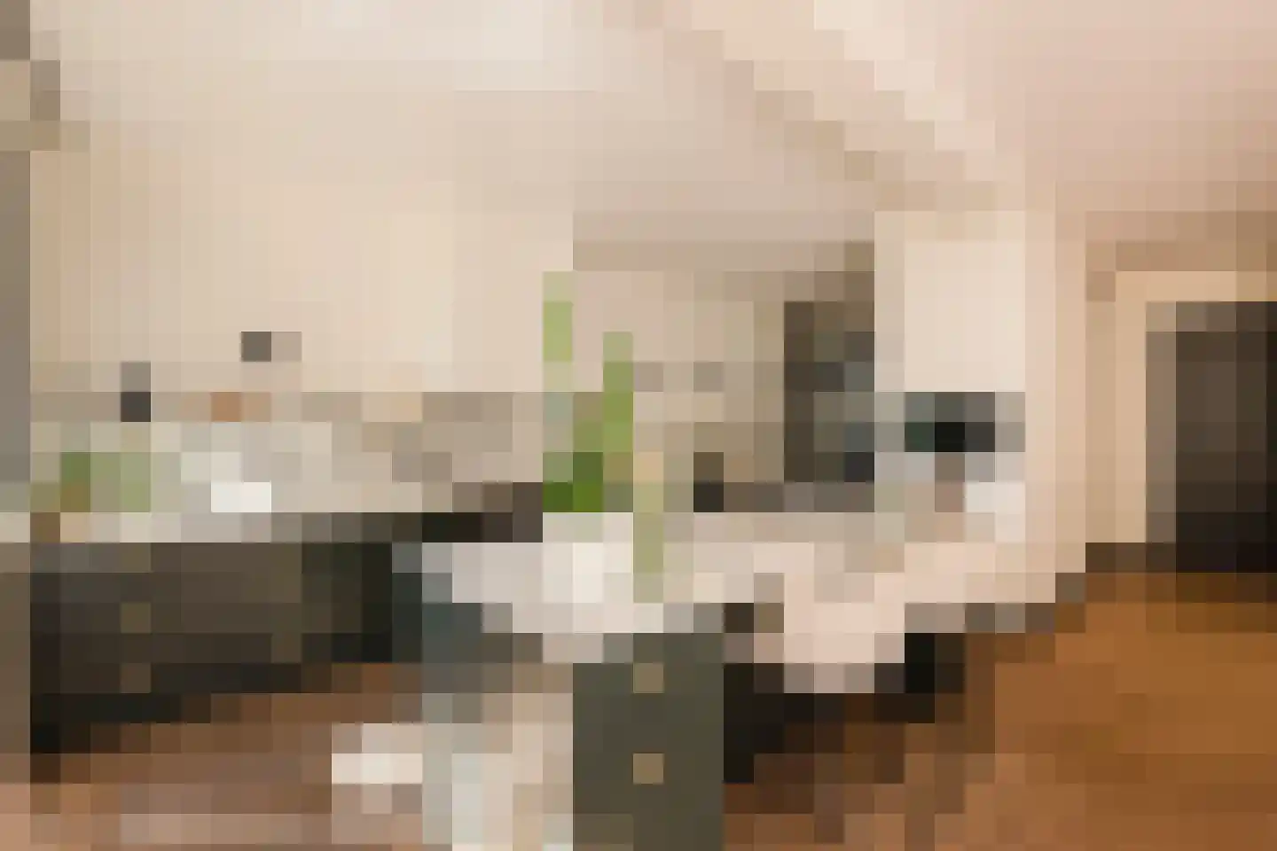 Anthonie van Dijckstraat 11 1 Amsterdam thumbnail 12