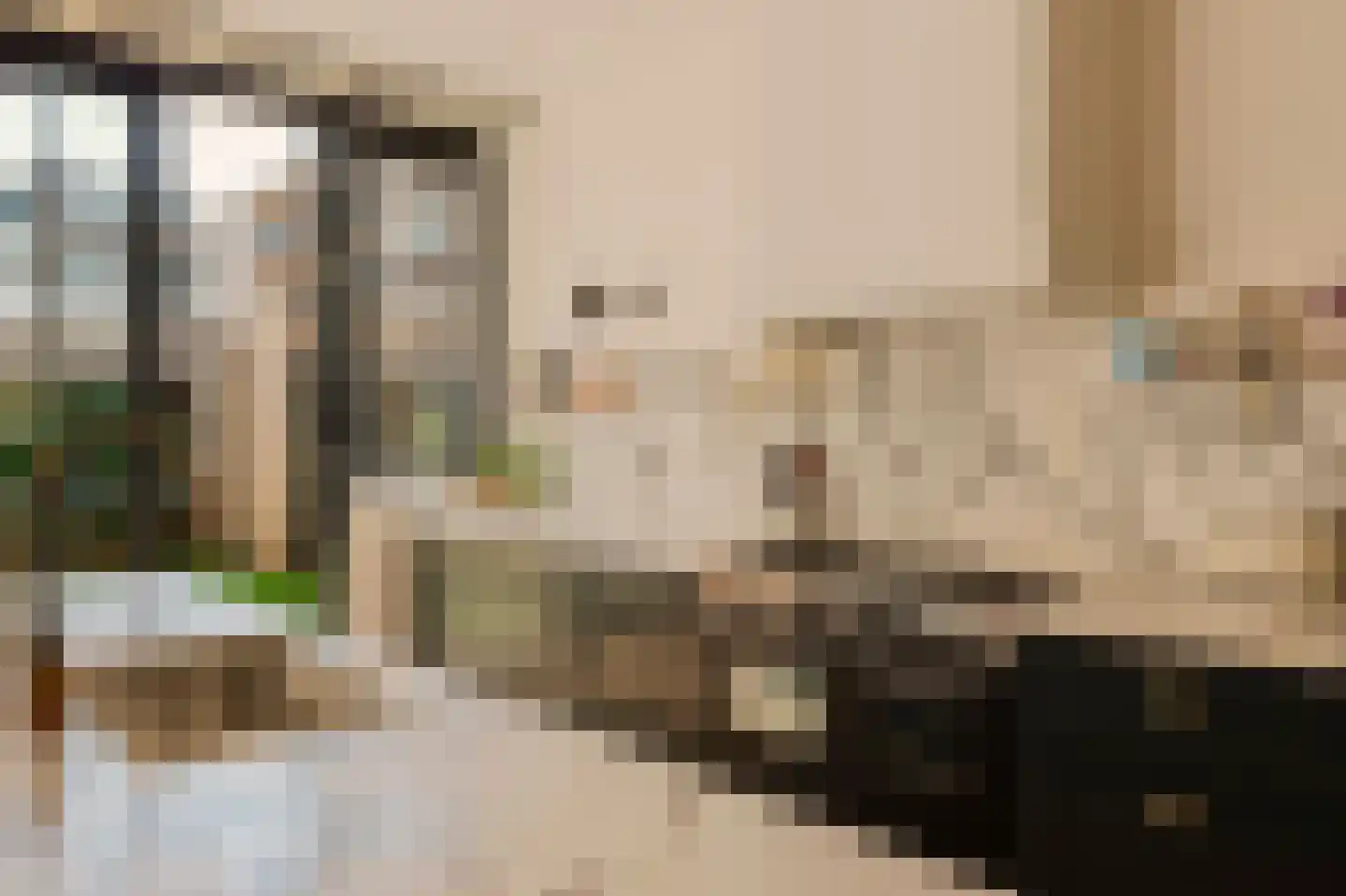 Anthonie van Dijckstraat 11 1 Amsterdam thumbnail 13