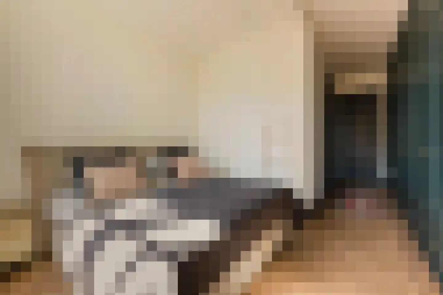Anthonie van Dijckstraat 11 1 Amsterdam thumbnail 23