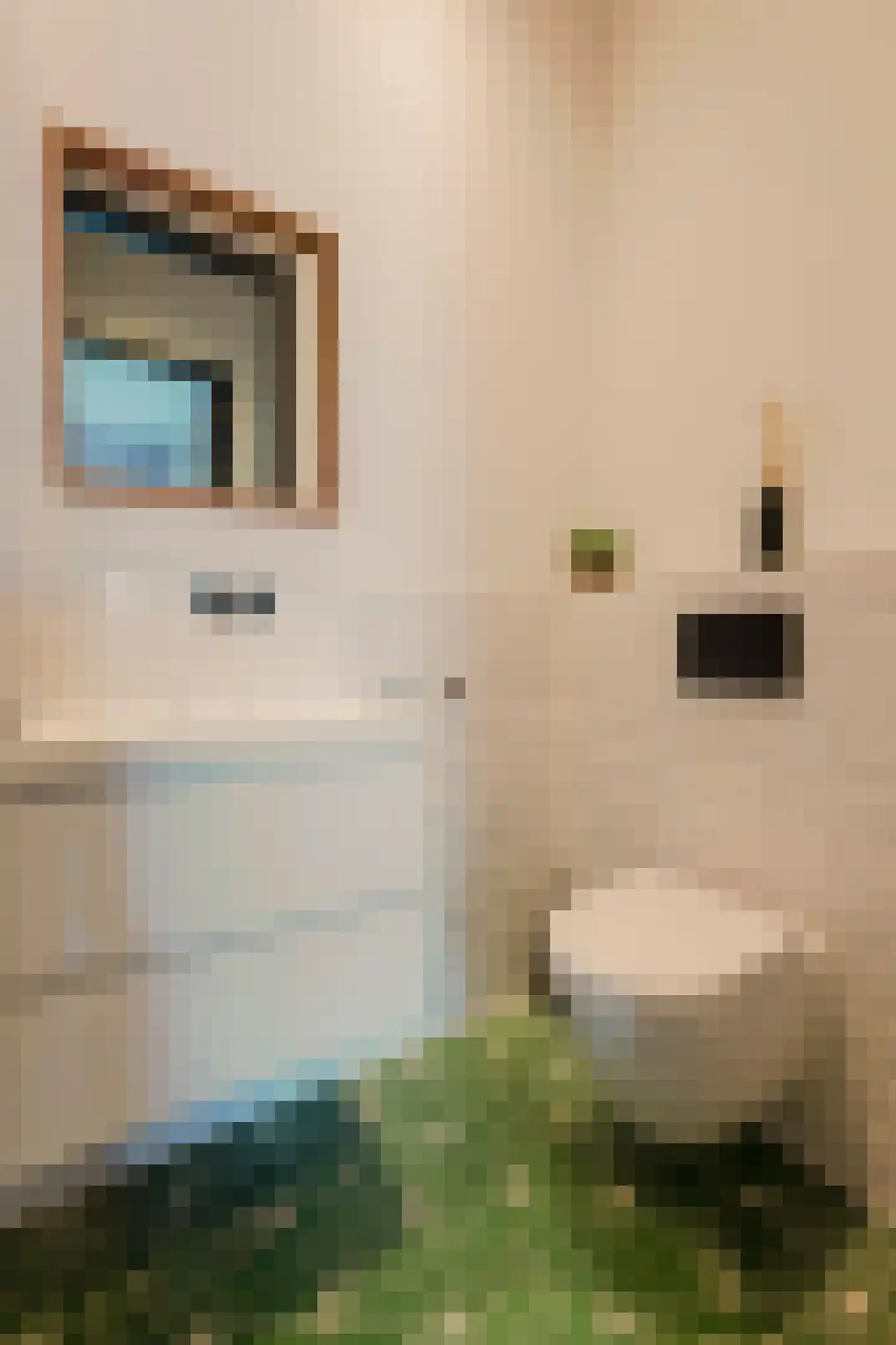 Anthonie van Dijckstraat 11 1 Amsterdam thumbnail 34