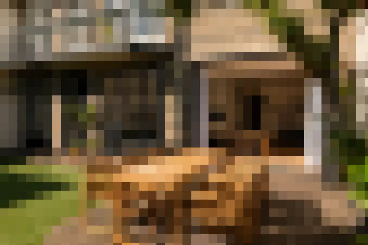Anthonie van Dijckstraat 11 1 Amsterdam thumbnail 35
