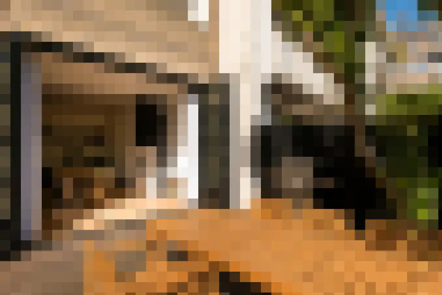 Anthonie van Dijckstraat 11 1 Amsterdam thumbnail 36