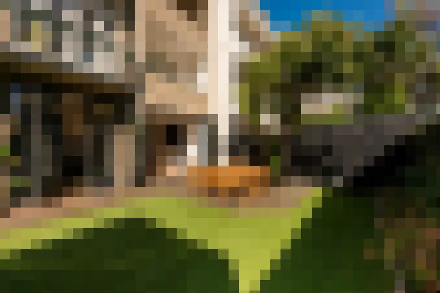 Anthonie van Dijckstraat 11 1 Amsterdam thumbnail 39