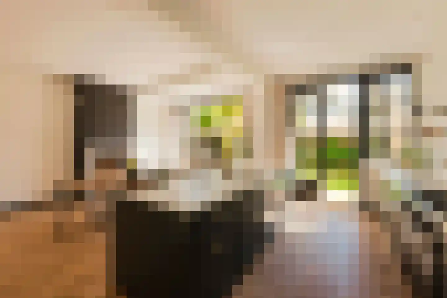 Anthonie van Dijckstraat 11 1 Amsterdam thumbnail 6