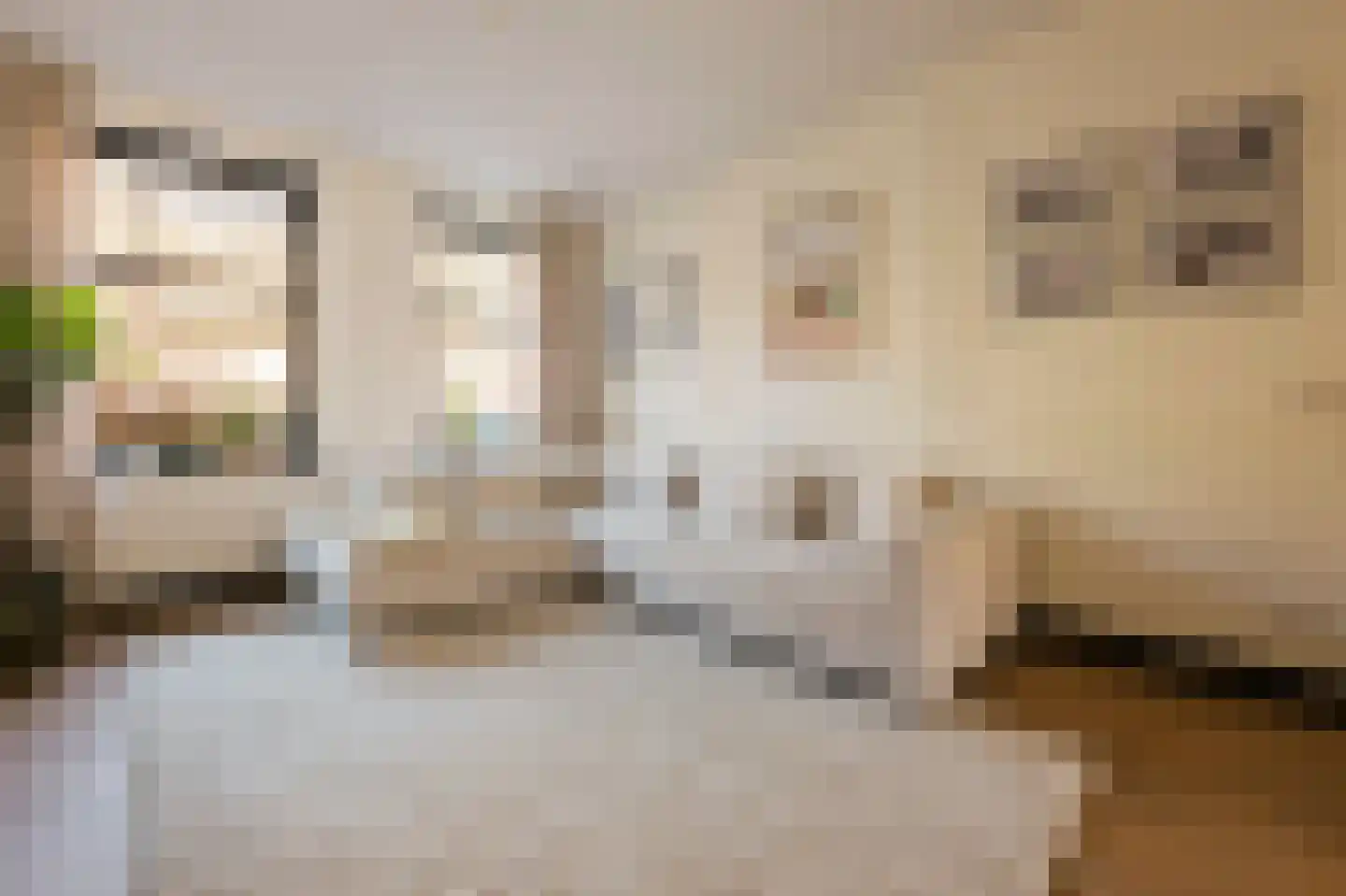 Anthonie van Dijckstraat 11 1 Amsterdam thumbnail 8
