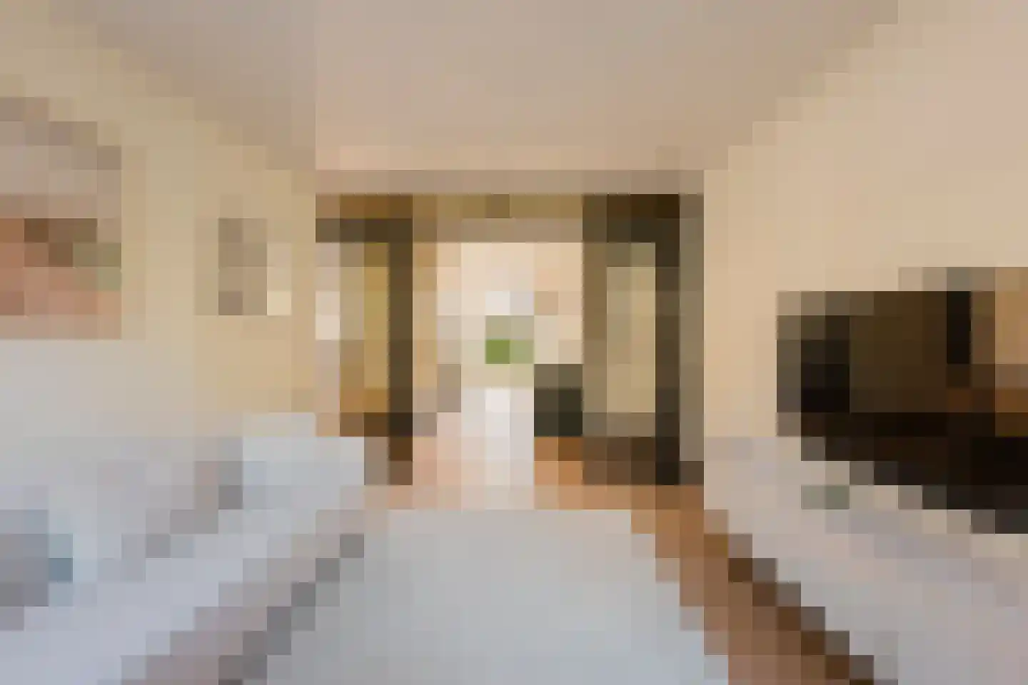 Anthonie van Dijckstraat 11 1 Amsterdam thumbnail 9