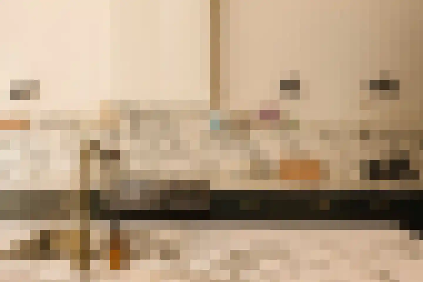 Anthonie van Dijckstraat 11 2 Amsterdam thumbnail 14