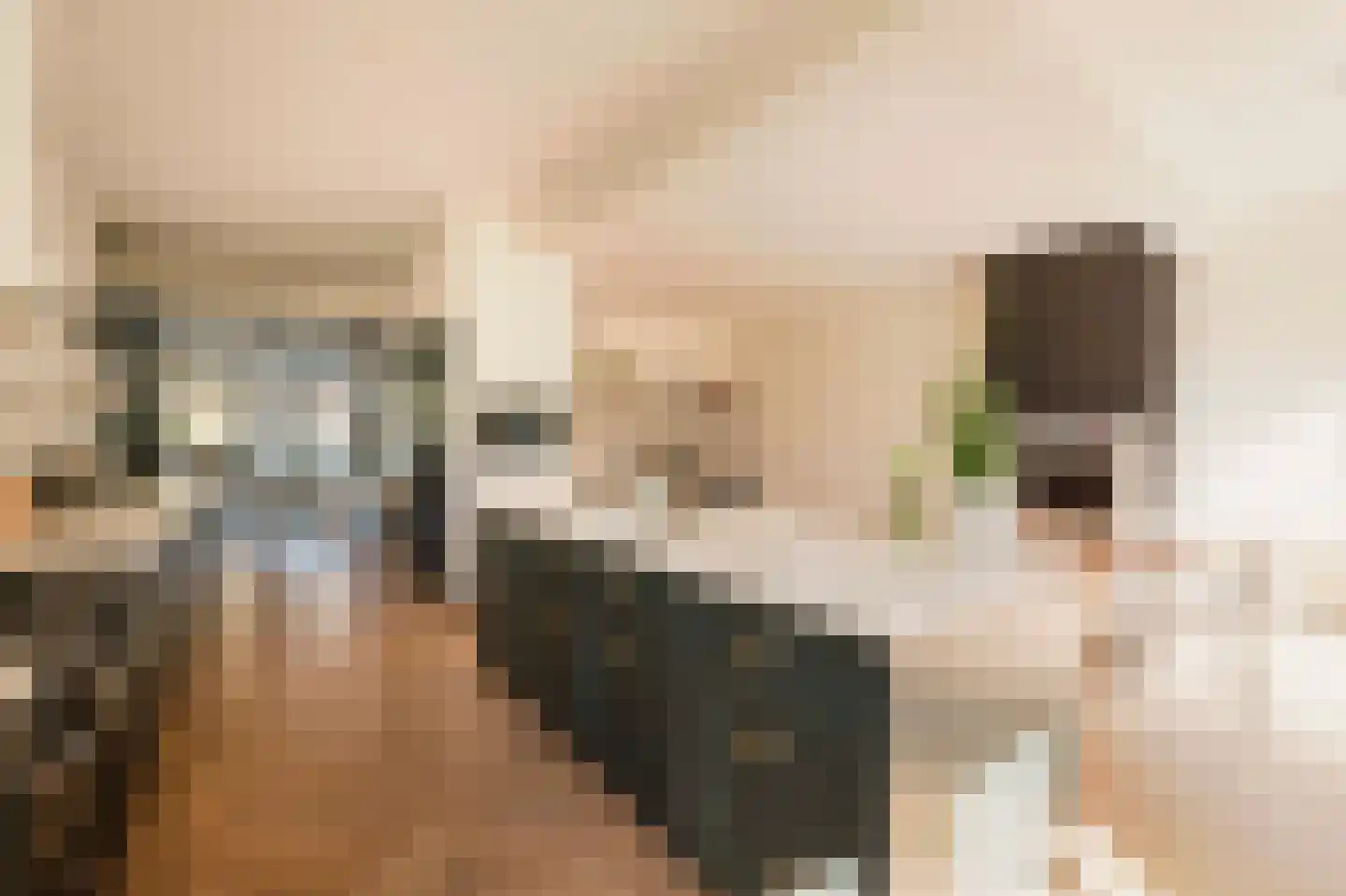 Anthonie van Dijckstraat 11 2 Amsterdam thumbnail 15