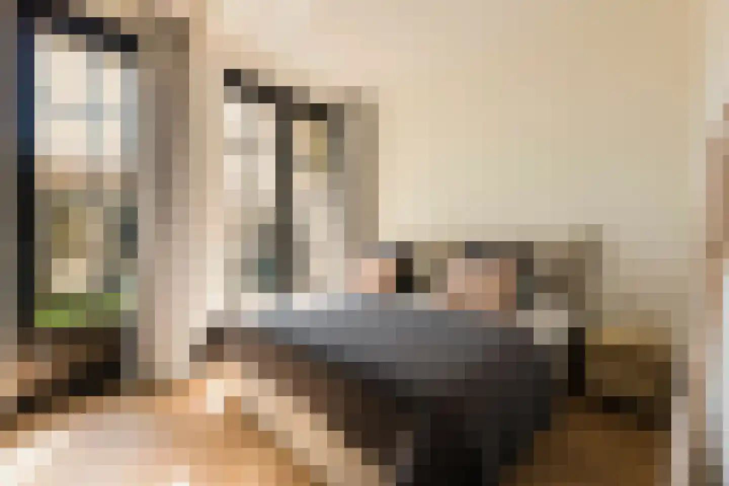 Anthonie van Dijckstraat 11 2 Amsterdam thumbnail 25