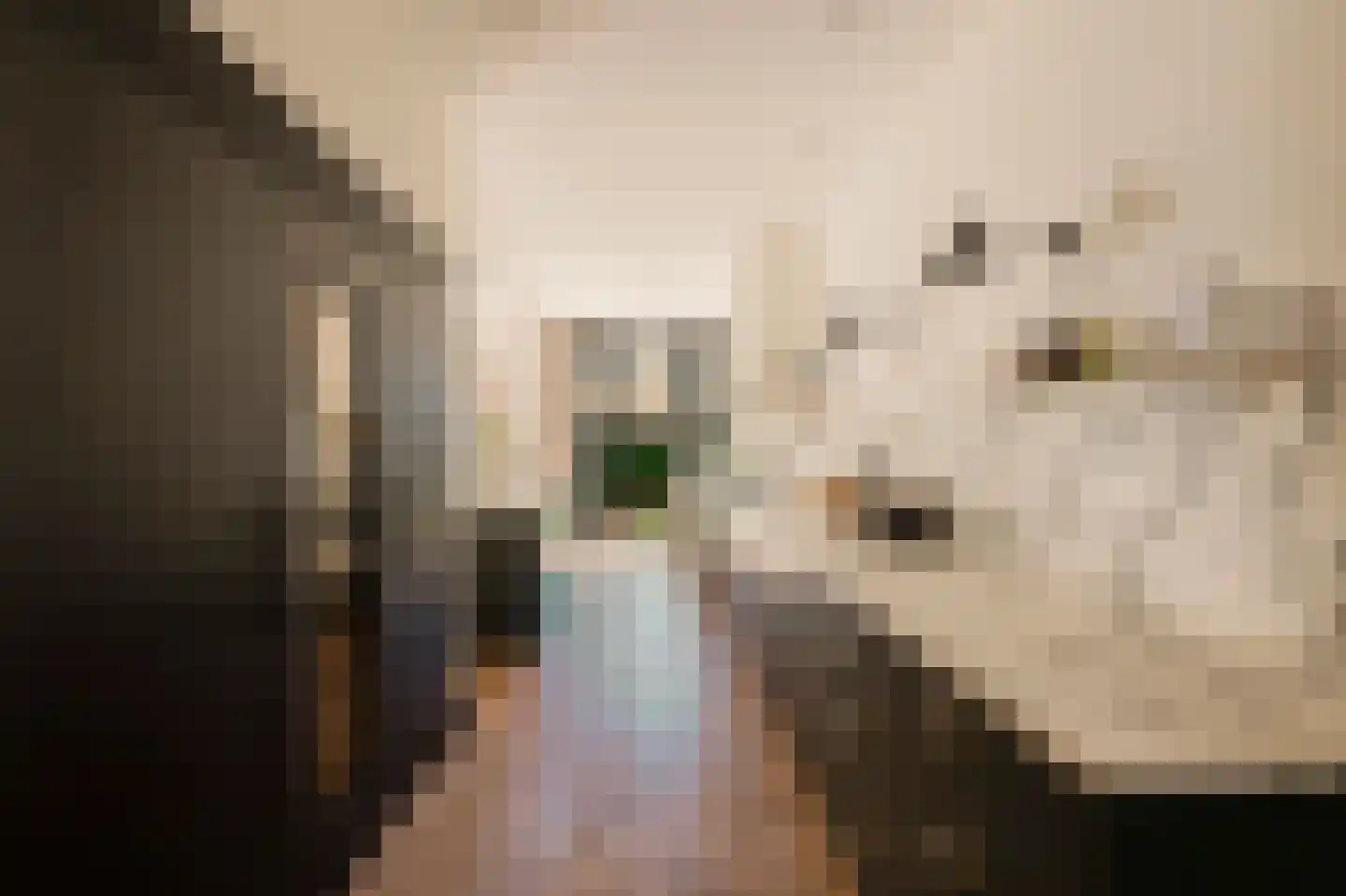 Anthonie van Dijckstraat 11 2 Amsterdam thumbnail 4