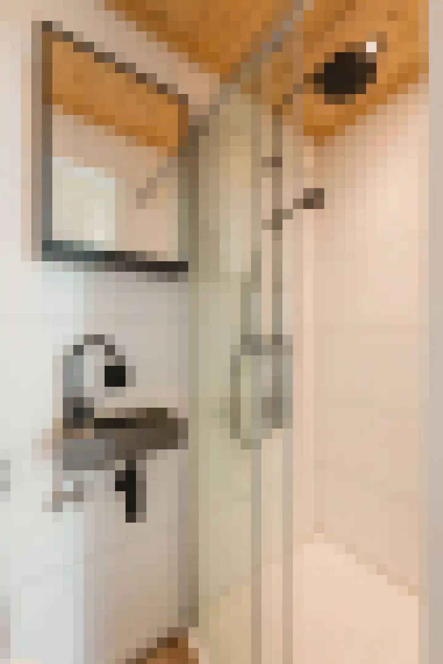 Anthonie van Dijckstraat 11 2 Amsterdam thumbnail 42